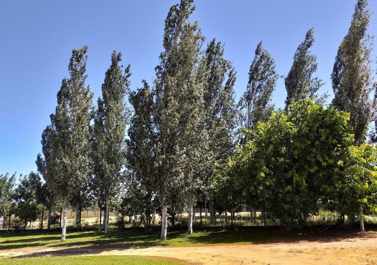 Greenside Of Sea Corujeira Dış mekan fotoğraf