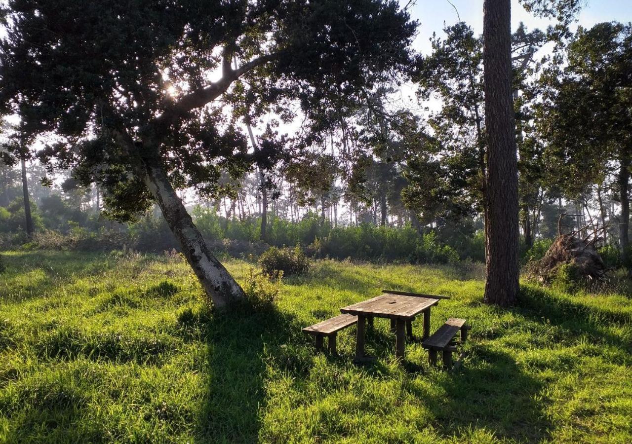 Greenside Of Sea Corujeira Dış mekan fotoğraf